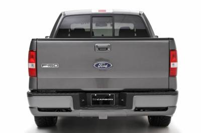 3dCarbon - Ford F150 3dCarbon Rear Lower Skirt - 691564