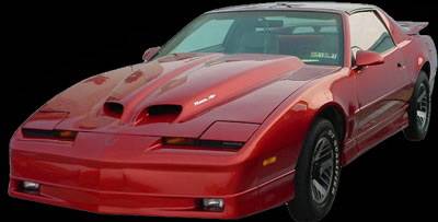 APM. - Pontiac Trans Am APM Fiberglass WS6 Style Functional Hood - Painted - 811210