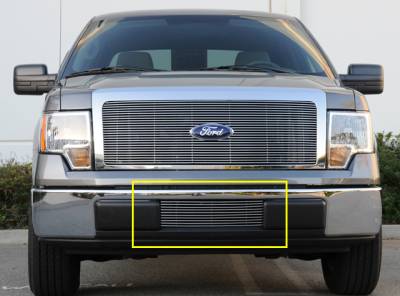 T-Rex - Ford F150 T-Rex Bumper Billet Grille Insert - 25569