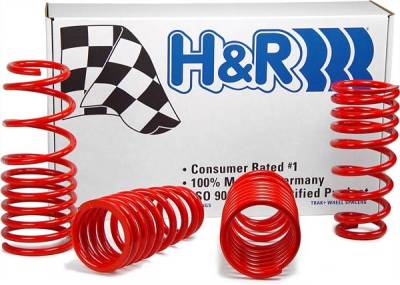 Ford Mustang H&R H&R Race Springs - 47200