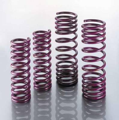 Lowering Suspension Springs - 20.1.015