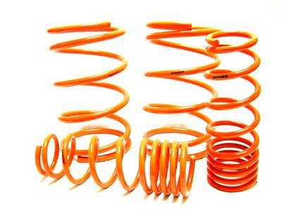 Acura RSX Megan Racing Suspension Lowering Springs - MR-LS-AR05