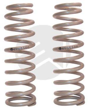 Lowering Springs - 201