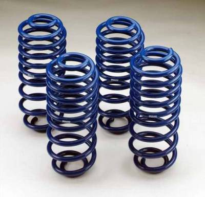 Lowering Suspension Drop Coil Kit - 1032