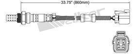 Oxygen Sensor