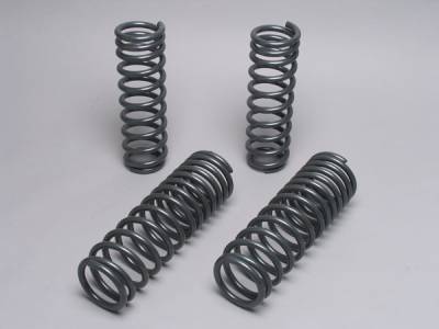 Sport Suspension Lowering Springs - 40.0103