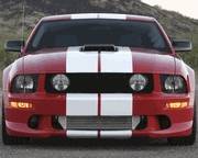 Ford Mustang White Dodge Challenger Lemans Style Stripes 12 Inch - 26051A