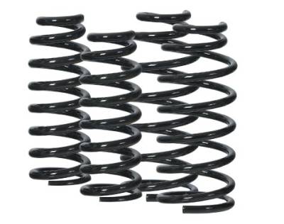 Volkswagen Golf AG Suspension Lowering Springs - AGKIT025