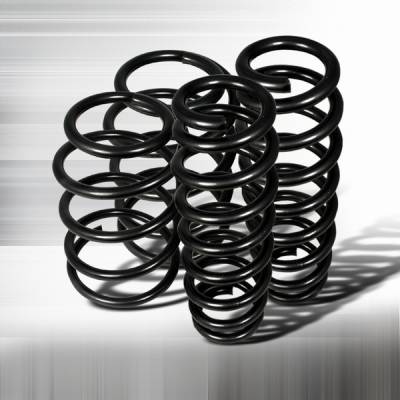 BMW 3 Series Custom Disco Lowering Springs - CL-E9207-TOM