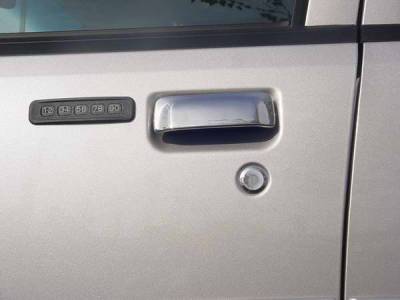 TFP Stainless Steel Door Handle - Lever Insert Accent - 469L