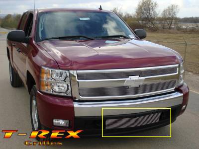 Chevrolet Silverado T-Rex Bumper Billet Grille Insert - 25110