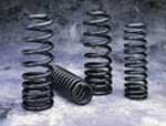 Suspension Techniques Sporttech 65503 Lowering Springs