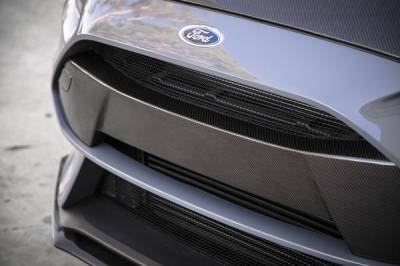 Anderson Carbon - Ford Focus RS Type-OE Anderson Composites Fiber Front Bumper Garnish FBG16FDFO - Image 2